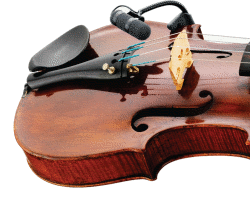 Bild von DPA d:vote 4099 Violine