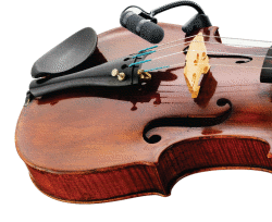 Zeige Details für DPA d:vote 4099 Violine Bild von DPA d:vote 4099 Violine